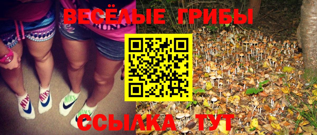 Карабулак  Галлюциногенные грибы GOLDEN TEACHER  Вход с VPN 