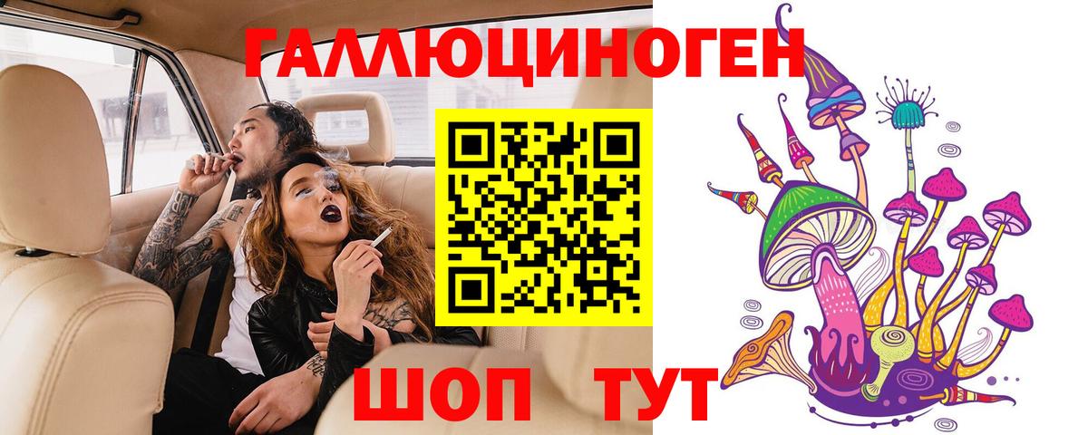 Галлюциногенные грибы Psilocybine cubensis Карабулак